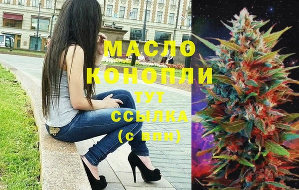 мет Каменка