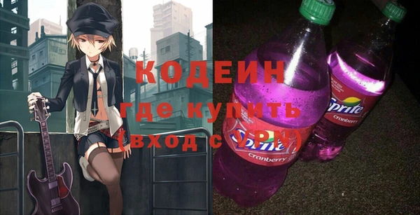 хмурый Каменногорск