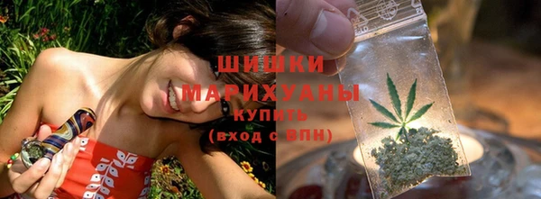 мет Каменка